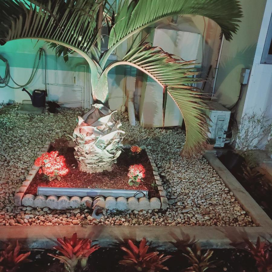 Tropical Palm Motel North Fort Myers Exterior foto